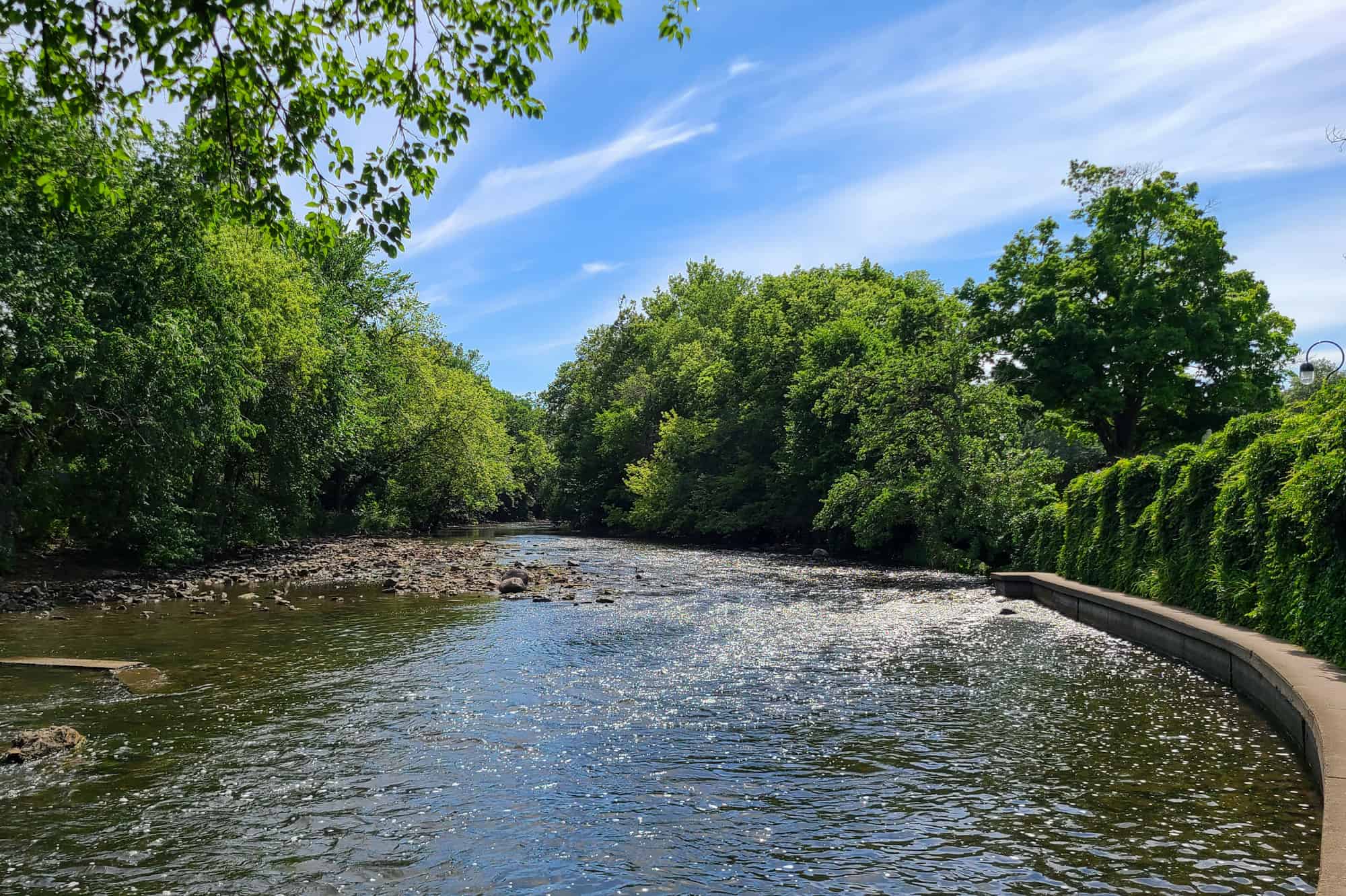 the riverwalk in naperville is filled with green trees surrounding the water, while in town to visit the breweries in naperville il, stop by the riverwalk for the beautiful views 