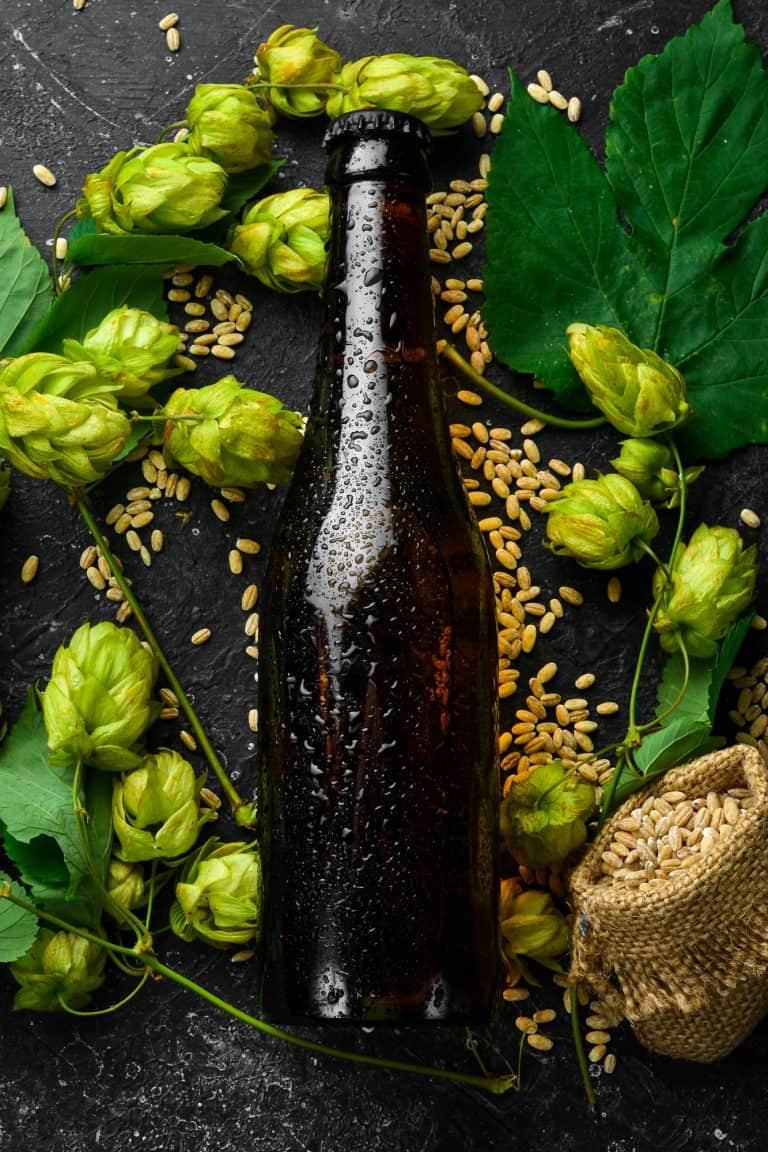 a sweating dark beer bottle laid down on a table surrounded by barley and greenery